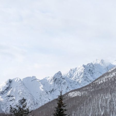 IMG-20250316-WA0020