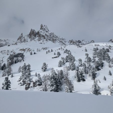 IMG-20250316-WA0051