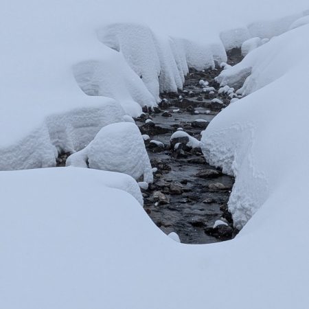 IMG-20250316-WA0063